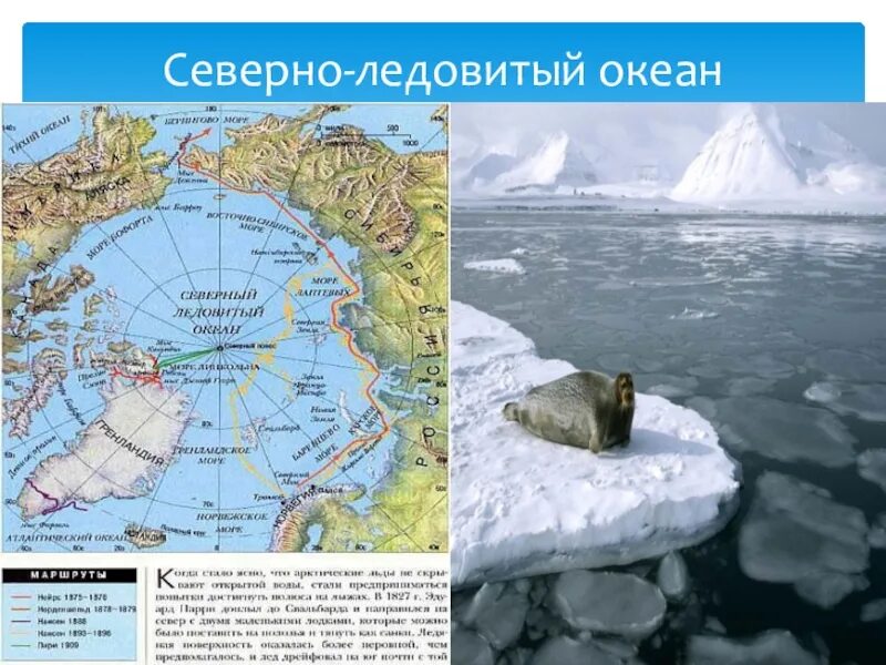Северный Ледовитый океан на карте. Арктический бассейн Северного Ледовитого океана. Карта Северо Ледовитого океана. Максимальная глубина Северного Ледовитого океана на карте.
