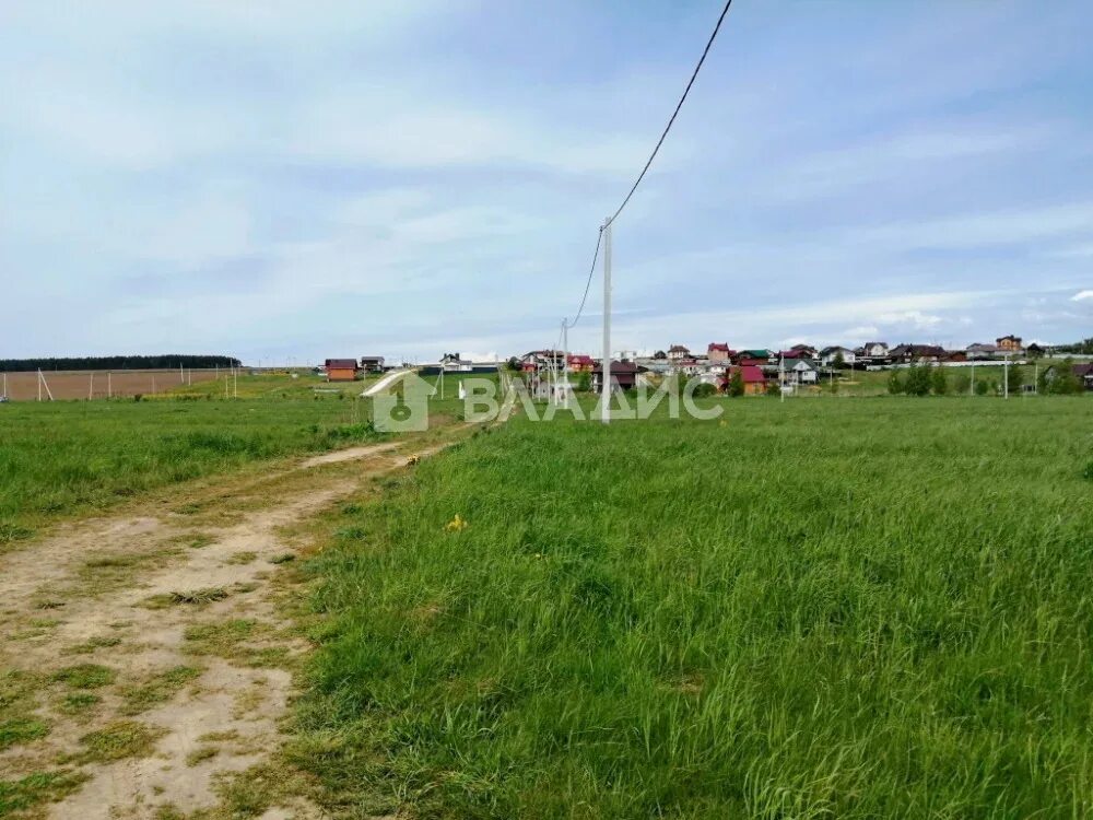 Курская область село васильково. Поселок васильково владимирская область. Участки васильково. Участки васильково. Участки васильково.