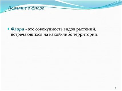 Понятие флоры