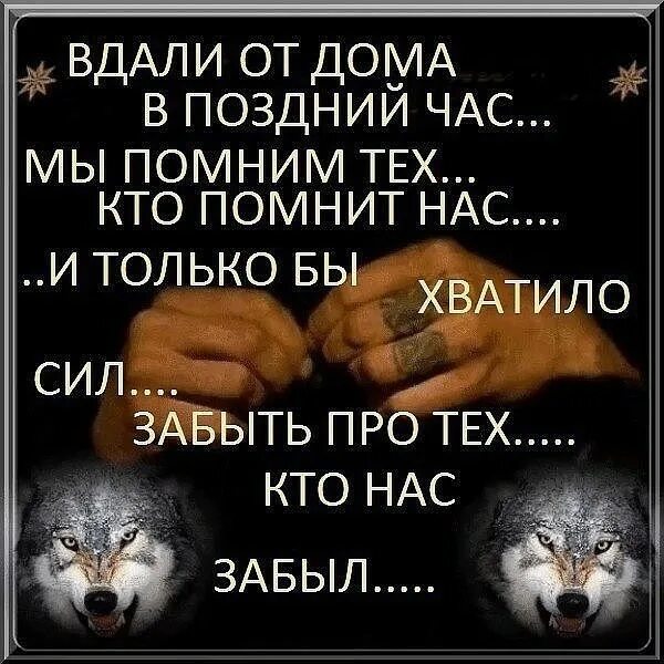 если в час поздно. девиз по жизни. если в час поздно. чокнутая птичка. картинки с высказыванием о времени.