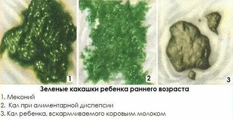 Кал светло зеленого цвета