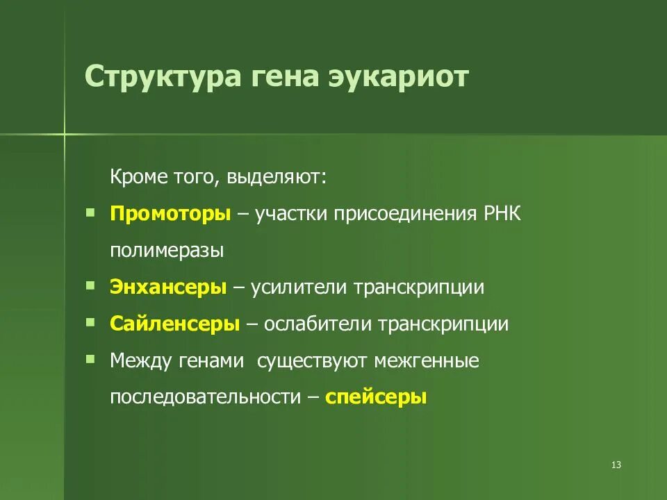 Участки структурного гена. Структура Гена. Структура генов. Структура Гена кратко. Структура генов эукариот.