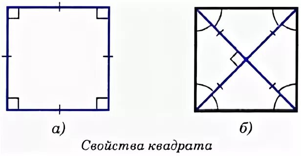 Квадрат свойства. Свойства квадрата. Квадрат (геометрия). Свойства квадрата 8 класс. Признаки квадрата.