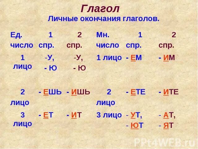 спряжение глаголов личные окончания глаголов 1 и 2 спряжения. правописание окончаний имен прилагательных. суффиксы существительных в русском языке 2 класс. есть ли окончание ели. окончание ие ее в прилагательных.