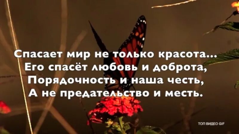 Любовь спасет цитаты. Любовь спасет мир стихи. красота и доброта спасут мир. любовь спасёт мир цитаты. красота спасёт мир стихи.