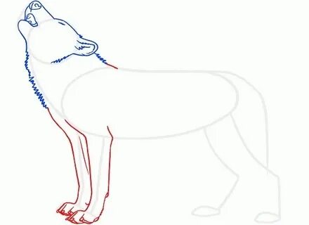 Нарисовать волка на стуле