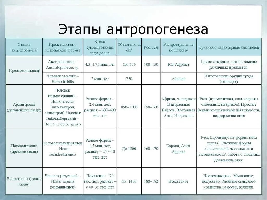 Название групп по возрасту. Таблица основные этапы антропогенеза таблица 11 класс. Таблица по биологии основные этапы антропогенеза. Характеристика стадий антропогенеза таблица. Основные этапы антропогенеза таблица 11 класс.