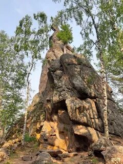 Скала новосибирская область