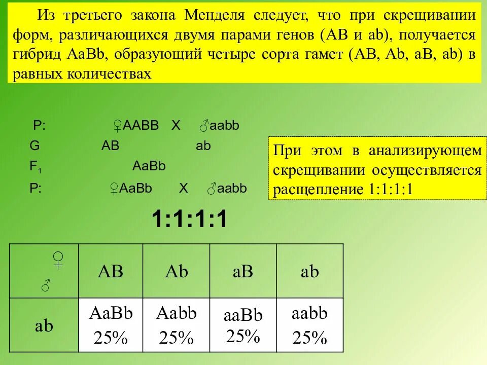 Сколько генотипов получится у потомства