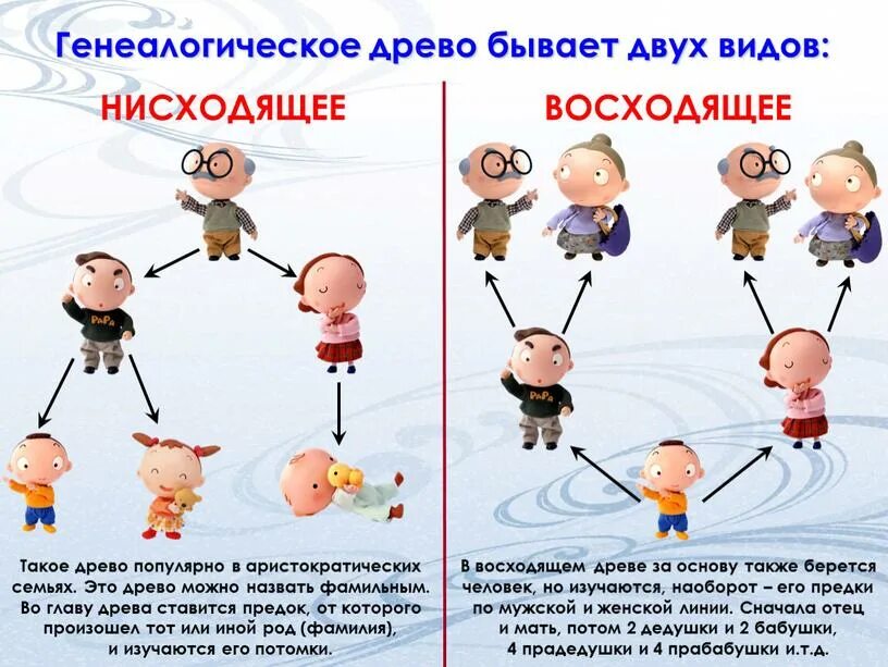 Родственные связи рассказ. Нисходящее Древо семьи. Генеалогическое Древо восходящее и нисходящее. Родственные связи в семье. Нисходящее генеалогическое Древо.