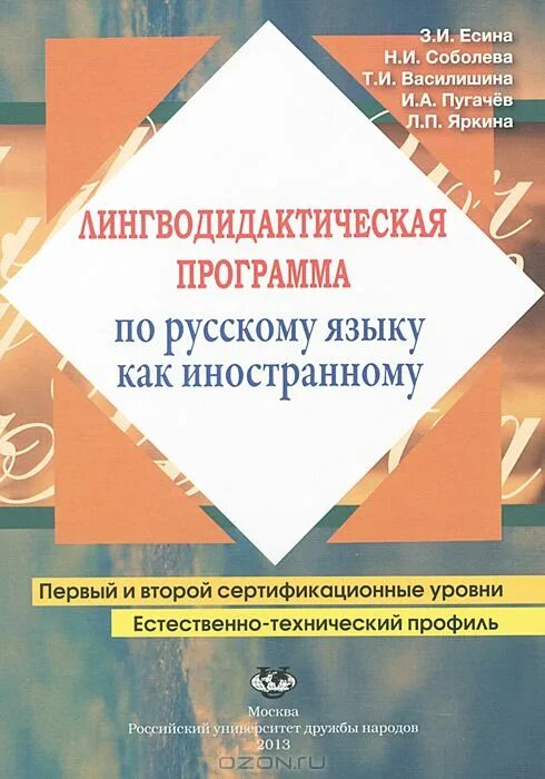 Стандарт по русскому языку как иностранному. Русский язык как иностранный программа. Рабочая программа по русскому языку как иностранному. Русский язык для дошкольников иностранцев. Программа русский как иностранный.
