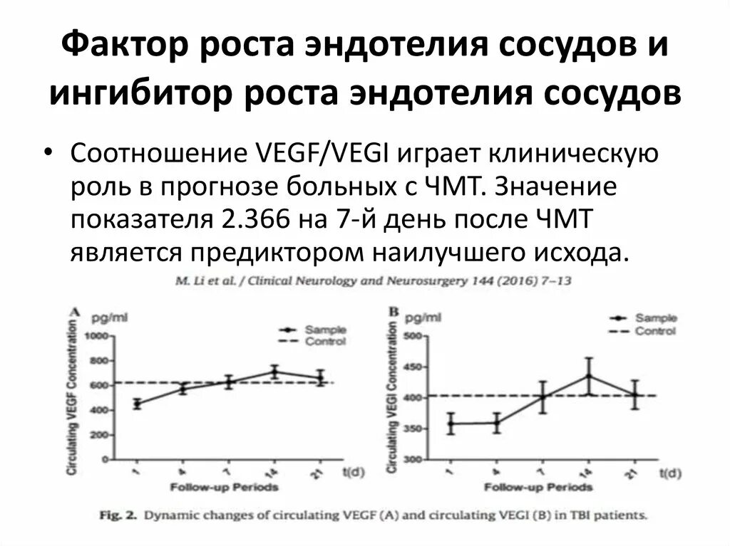 Факторы роста сосудов. Фактор роста эндотелия. Ингибиторы фактора роста сосудов. Специфический блокатор эндотелиального фактора роста.