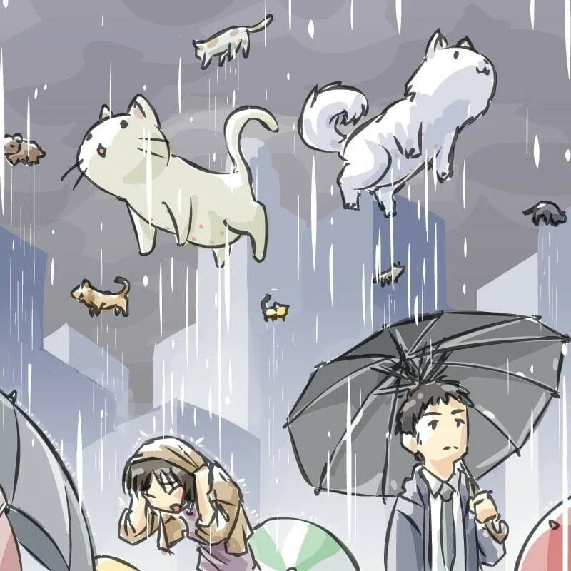 Дождь из животных. Идиома it&#039;s raining cats and dogs. rain cats and dogs идиомы. дождь из кошек и собак. дождь из котов.