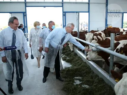 Погода башмаково пензенская область на 3 дня