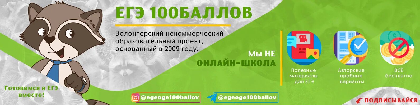 Мат100 егэ 2024 год. Енотик ЕГЭ 100 баллов. Енот ЕГЭ 100 баллов. 100 ЕГЭ Майкоп.