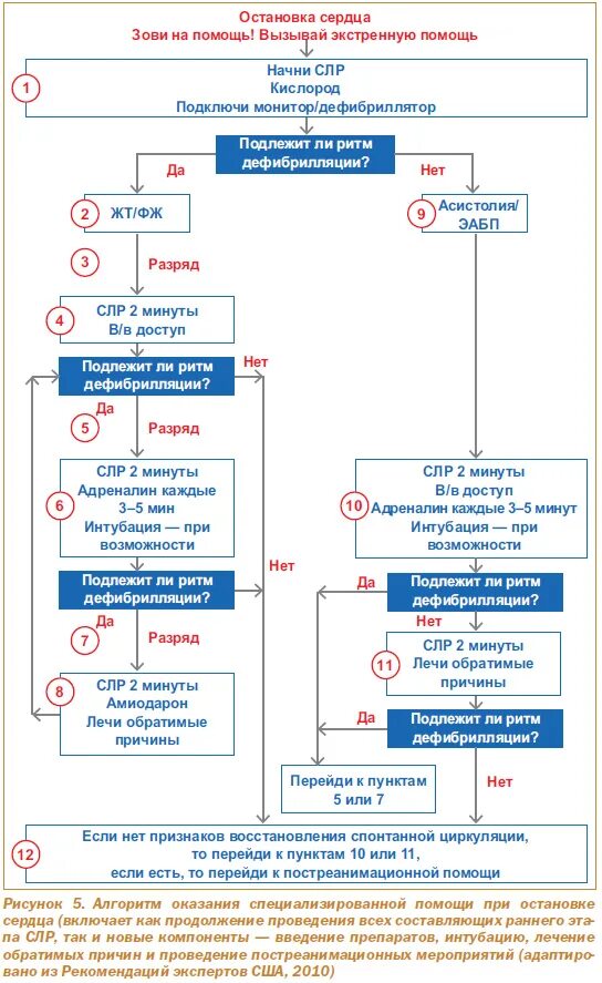 Алгоритм оказания помощи при остановке сердца. Реанимация при остановке сердца алгоритм. Неотложная помощь при СЛР алгоритм. Схема оказания первой помощи при остановки сердца. Алгоритмы помощи при остановке сердца