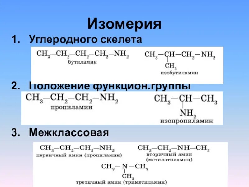 Изомеры углеродного скелета пентанола-1. Межклассовая изомерия пентанола 2. Изомерия углеродного скелета межклассовая. Амины изомерия углеродного скелета.