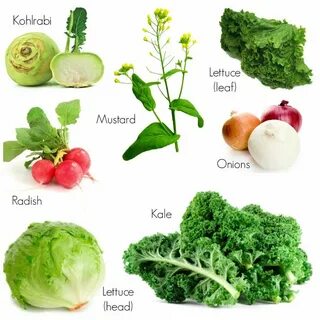Grow vegetables перевод