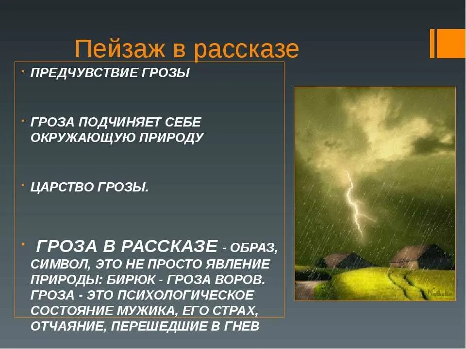 Текст несколько раз ночные июльские грозы обрушивали. Рассказ гроза. Рассказ с описанием грозы. Описание природы в Бирюке. Образ грозы.