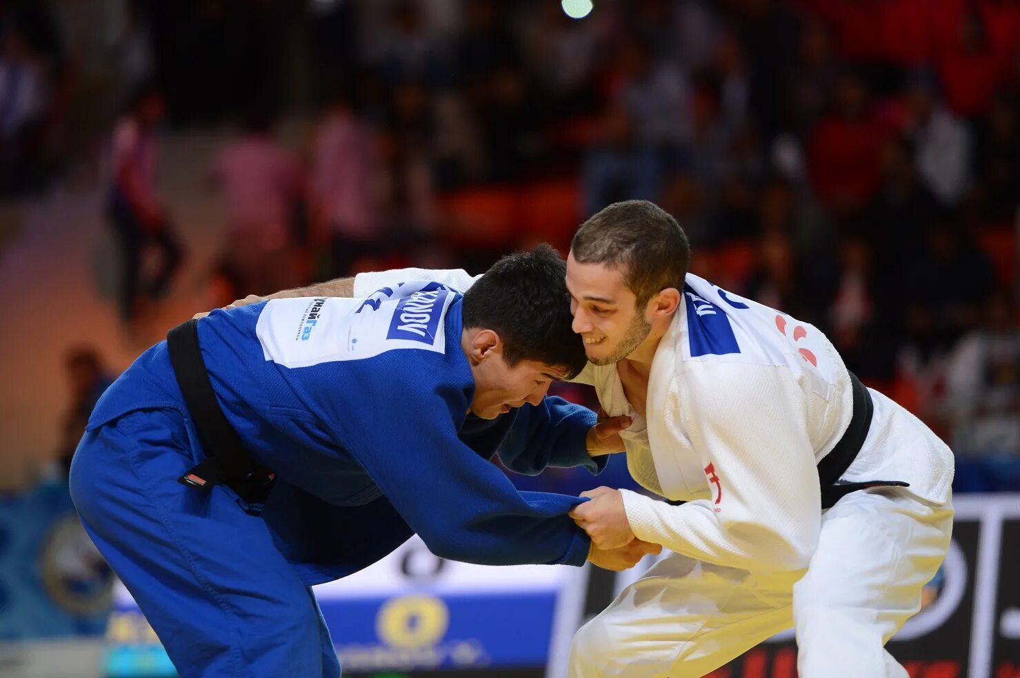 дзюдо броски россия. дзюдо олимпийский вид спорта. дзюдо бокс футбол. низкодубов родион дзюдо. дзюдо бокс футбол.