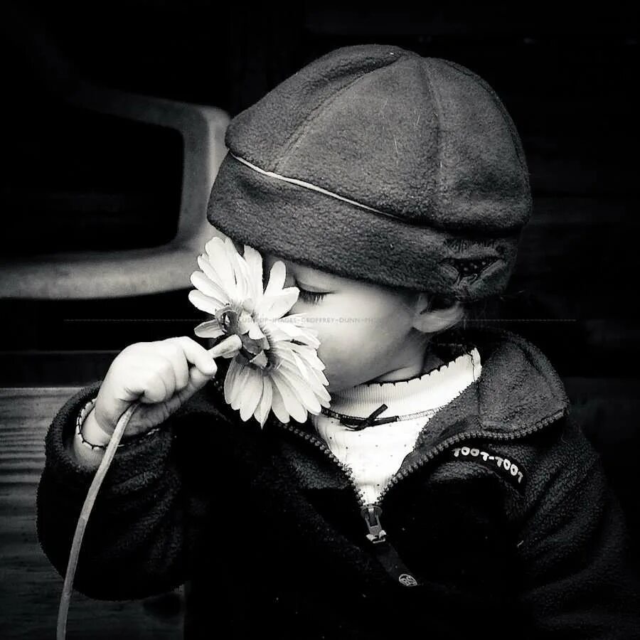 Одноклассники хулигана. Мальчик с цветами. Мальчик с цветком в руке. Мальчик с цветком. Маленький мальчик с розой.