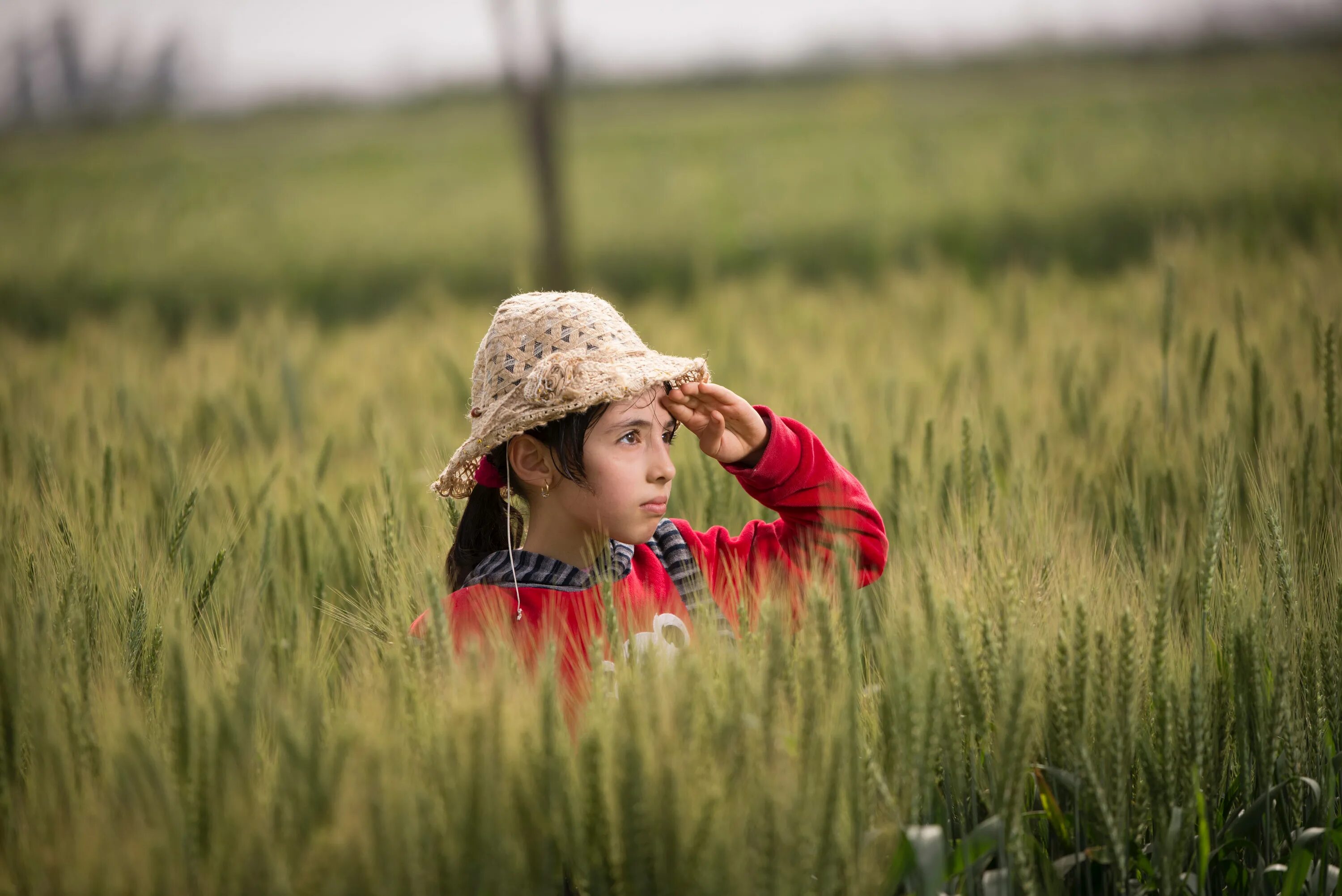 Field children. Фотосессия в поле. Дети в поле. Мальчик в пшеничном поле. Дети в пшеничном поле.