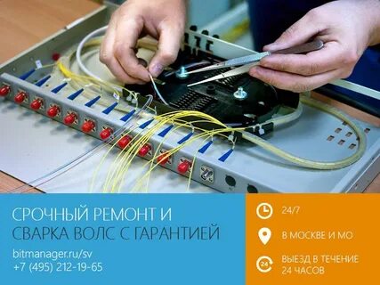 Срочно восстановить