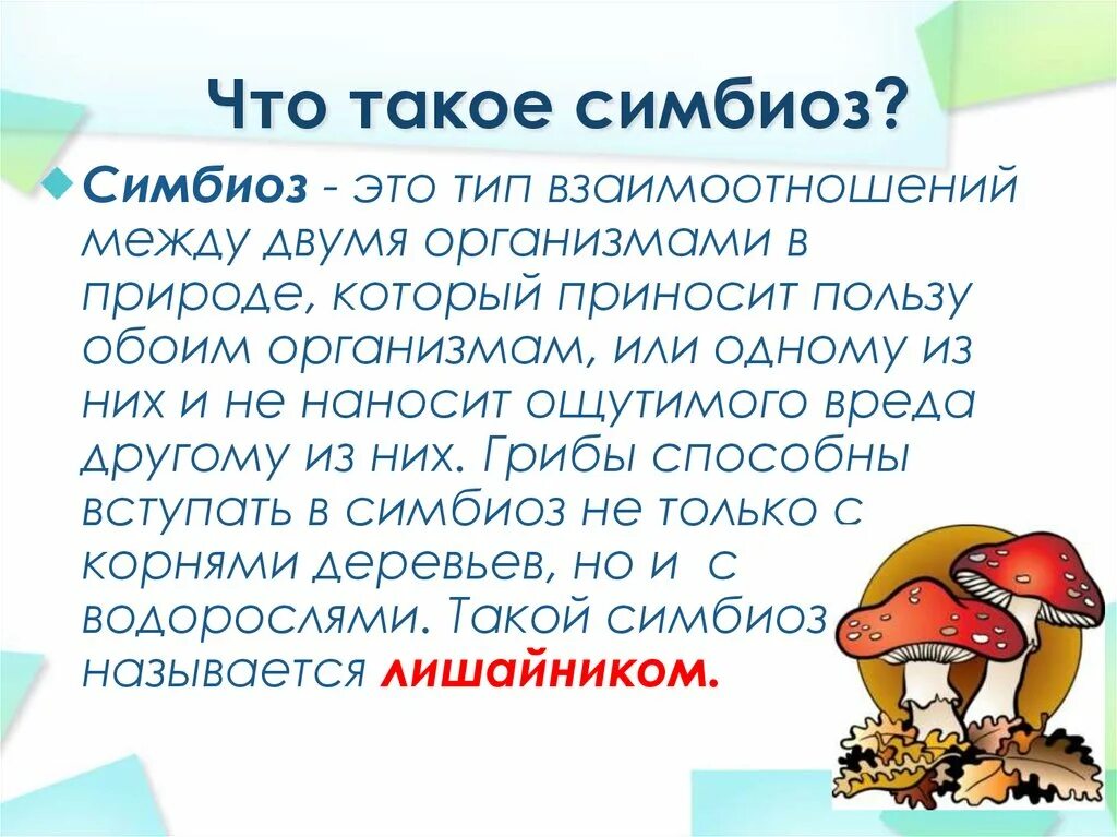 Что такое. Симбиоз. Понятие симбиоз. Симбиоз это кратко. Симбиоз это в биологии.