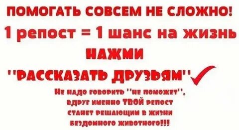 Давайте сделаем репост