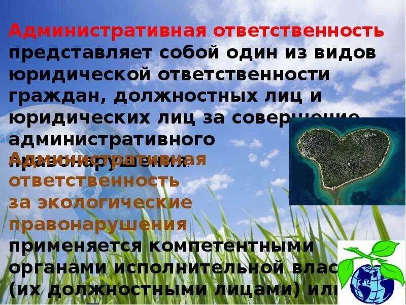 Административная ответственность за экологические правонарушения. Ликвидация экологических правонарушений. виды ликвидации экологических. экологические правонарушения коап. административные экологические правонарушения в городе балаково.