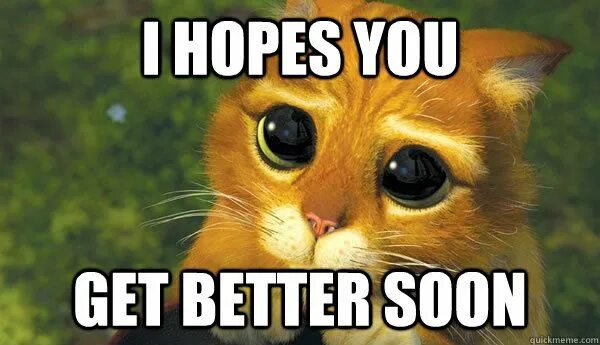 Get better 2. Get better мем. get better котик. get well soon meme. i hope you will get better soon.