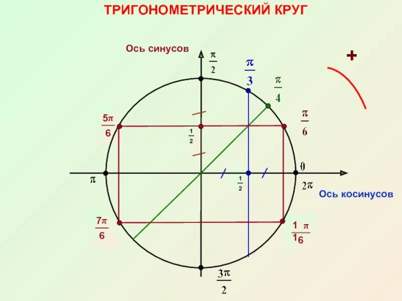 Тригонометрический круг синус. Единичная окружность ось синусов. Тригонометр окружность. Тригонометрическая окружность ось синусов.