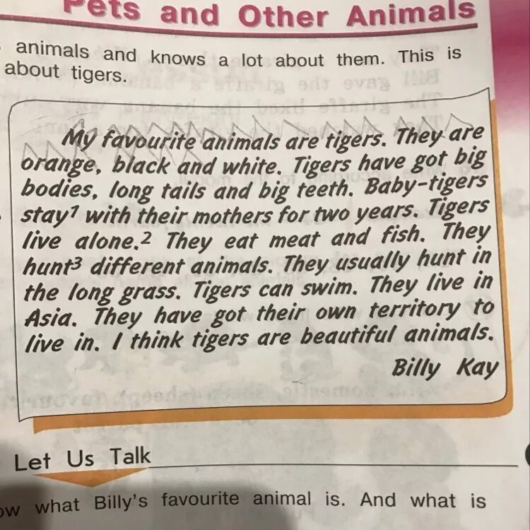 Give a talk about pets. Топик про Pets. What can you write about your favourite animal see exercise 10. Write about your favourite animal. Топик о питомце на английском языке.
