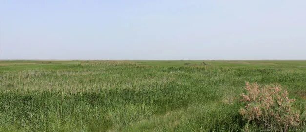 поселок кумской калмыкия. п ачинеры черноземельского района республики калмыкия. калмыкия поселок прикумский. кумская калмыкия. поселок ачинеры черноземельского района республики калмыкия.