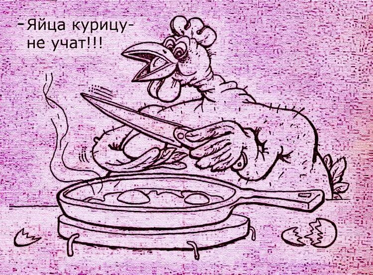 Яйца курицу не учат. Яйца курицу не учат фразеологизм. Яйцо учит курицу. Поговорка яйца курицу не учат. Пословицы яичко