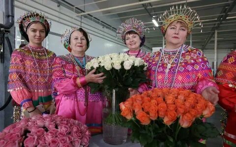 Цветы мордовия