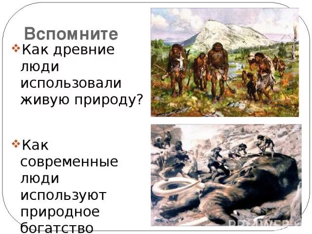 Как древние относились к природе. Как древние люди использовали живую природу. Древние люди древнейшие люди современные люди. Древний человек использует природу. Как древние люди относились к природе.