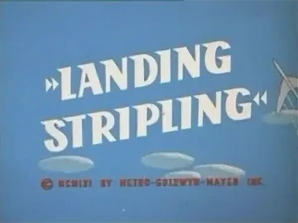 There s the landing