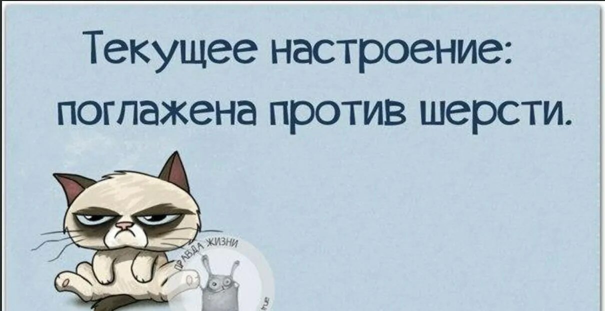 портящееся настроение. статус про плохое настроение. ты испортил мне настроение. испорченное настроение. испорченное настроение.