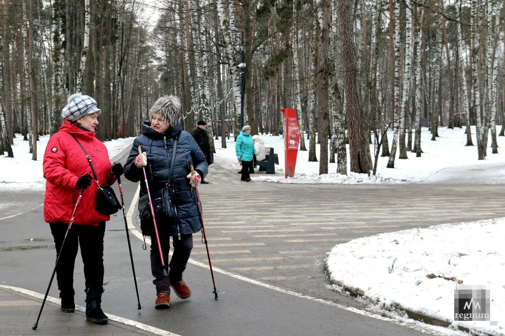 Пенсионер оренбурга. Скандинавская ходьба Пехорка. Скандинавская ходьба в парке Пехорка. Юсуповский парк Скандинавская ходьба. Скандинавская ходьба для пожилых.