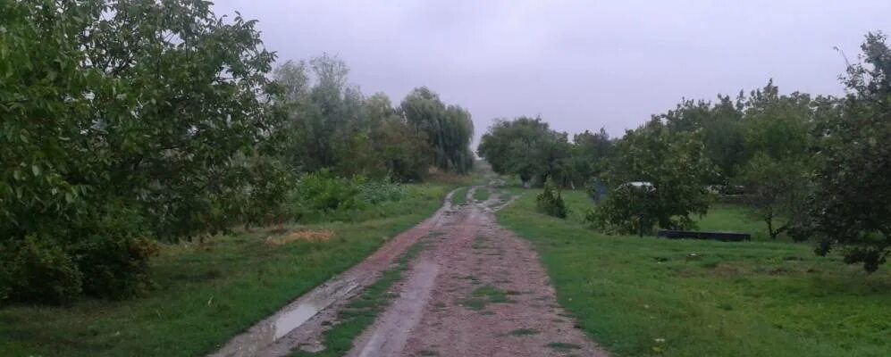 Погода в лебедях калининского района. Хутор лебеди Краснодарский край Калининский район. Станица лебеди Краснодарский край. Хутор Коблов Краснодарский край. Станица Калининская Краснодарский край.