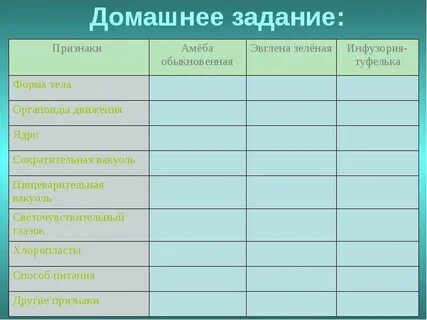 Отличия простейших