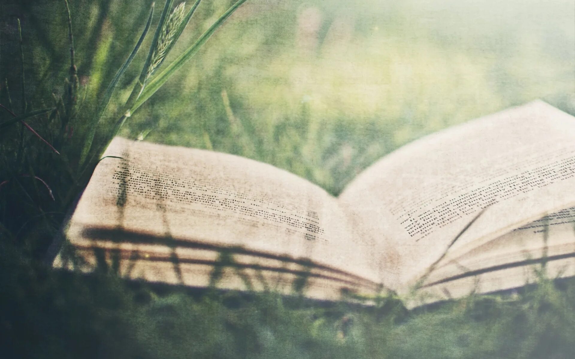 Поля текста в книге