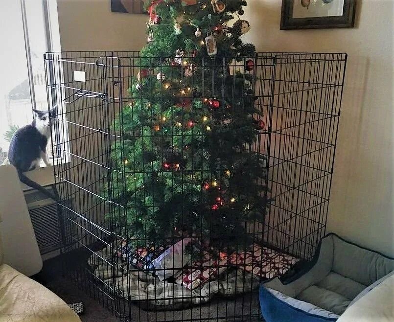Елка на потолке от кота. Елка от котов. Защита елки от кошек. Елка под потолком. Елки на потолке от кошек.