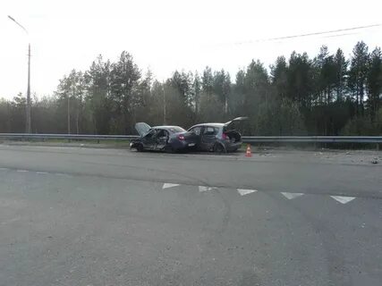 Погода на завтра новодвинск