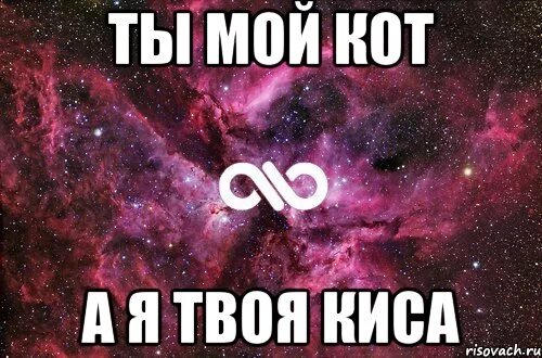 Картинка я твоя. Ты мой я твоя. Ты моя киса я твой кот. Ты только мой картинки. Ты мой я твоя картинки.