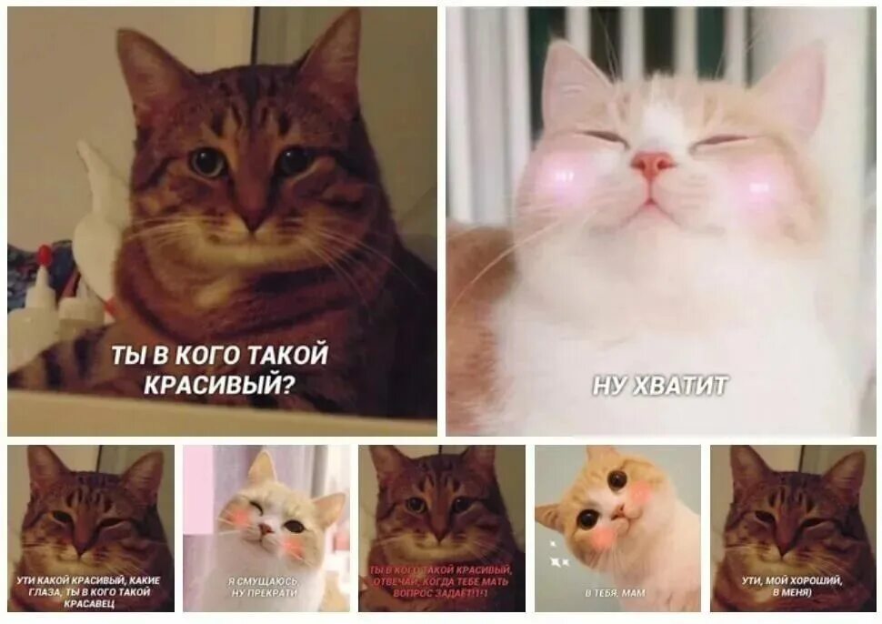 Кот мем 2025. Мемы с улыбающимся котом. добрый кот мем. понимающий кот. довольный кот мем.