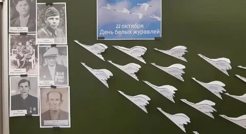 Конкурс чтецов день белых журавлей