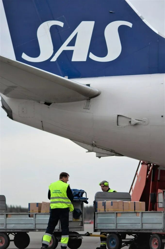 Sas airlines. Авиакомпания сас. авиакомпании швеции. скандинавская авиакомпания sas. sas aviakompania logo.