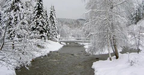Зимний 20
